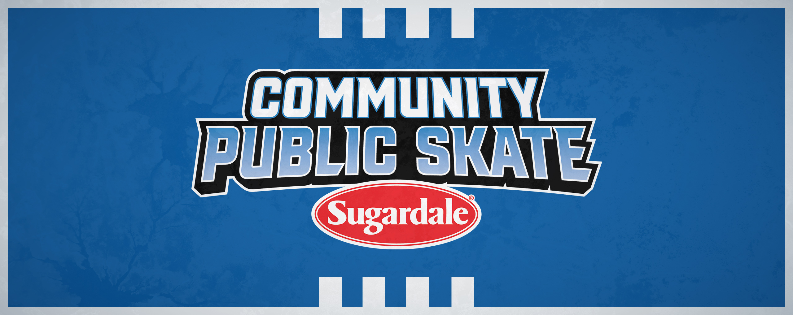 Community Public Skate
